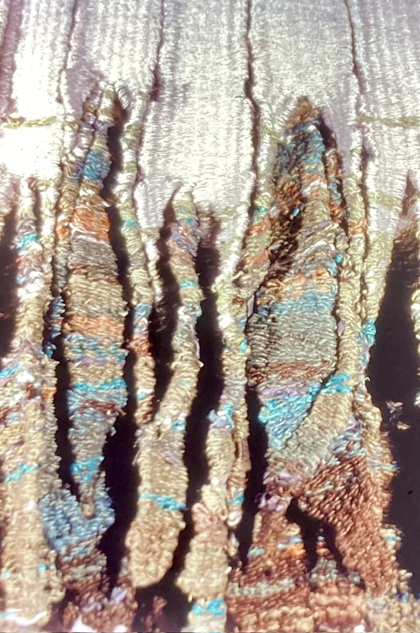 Fiber Sculpture Image