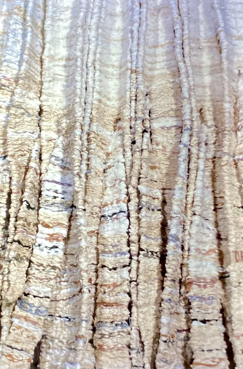 Fiber Sculpture Image